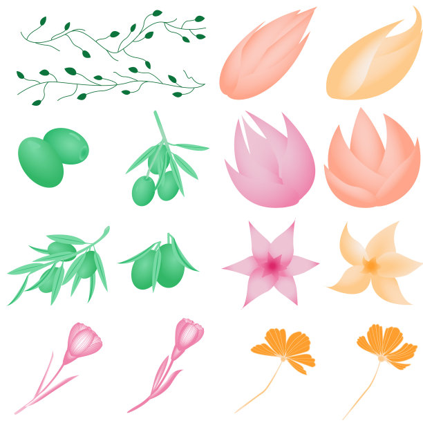 向量图像的花，橄榄和树枝。图片下载