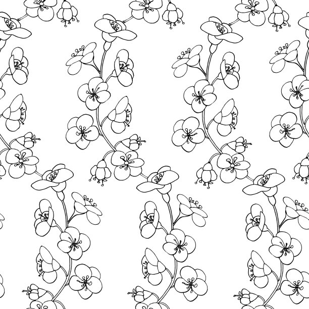 野花无缝花卉图案。线性手绘。夏天的时间,开花。纸张，封面，织物，礼品包装，墙壁艺术，家居装饰。简单的矢量曲面图案设计图片下载