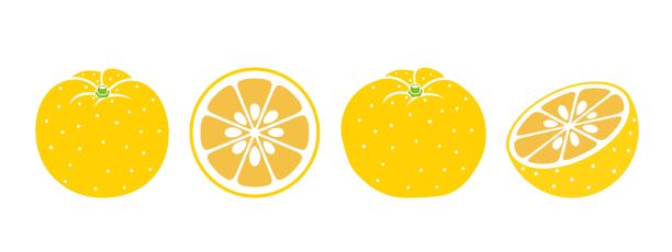 柚子水果标志。白色背景的独立柚子果实图片下载