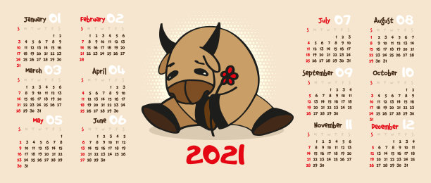 2021年日历。公牛手里拿着一朵红花，象征着新年，一种卡通动物图片下载