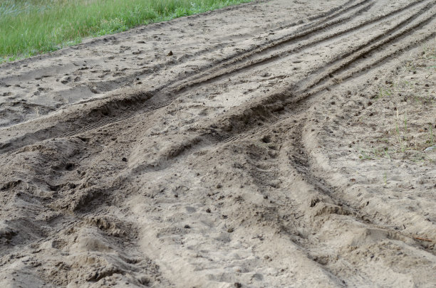 沙子上有汽车的痕迹。图片下载