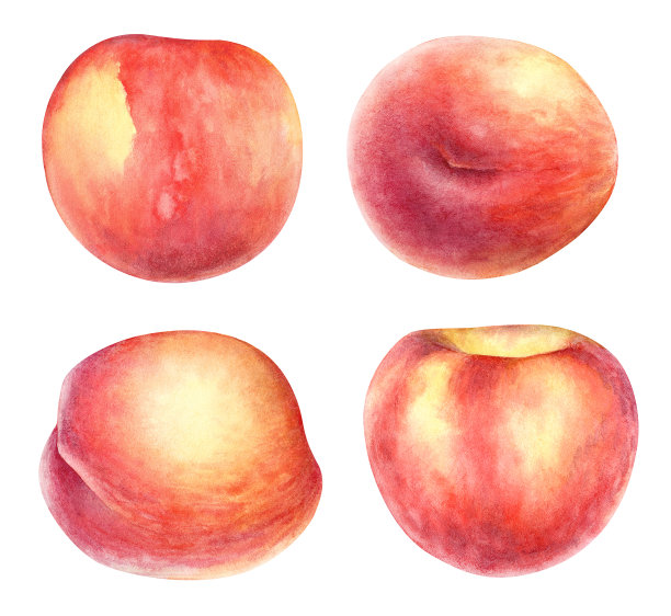 水彩桃子水果图片下载