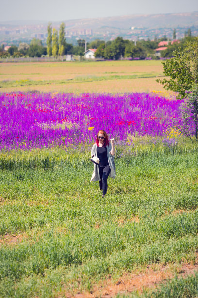 薰衣草地的自由图片下载