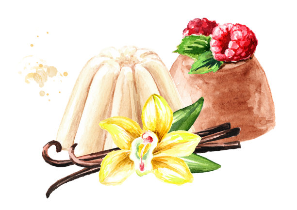 甜意式奶冻配覆盆子和香草。手绘水彩插图孤立的白色背景图片下载