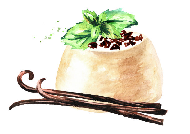 香甜的香草意式奶冻配上巧克力屑和薄荷叶。手绘水彩插图，孤立的白色背景图片下载