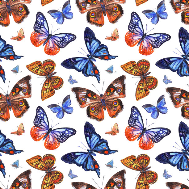 蝴蝶无缝图案上的白色背景图片下载