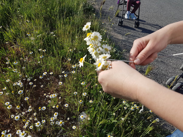 日、尾、检疫、冠状病毒、疾病、商务、covid-19、疫情、风险、病毒、护理、道路、冠状病毒、大流行、防护、安全、人、概念、回答、问、女商人、危机、完成、信息、预防、下一步、之后、3d渲染、背、查图片下载