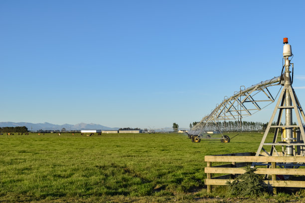 从新西兰农场和山区背景的田野全景景观图片下载