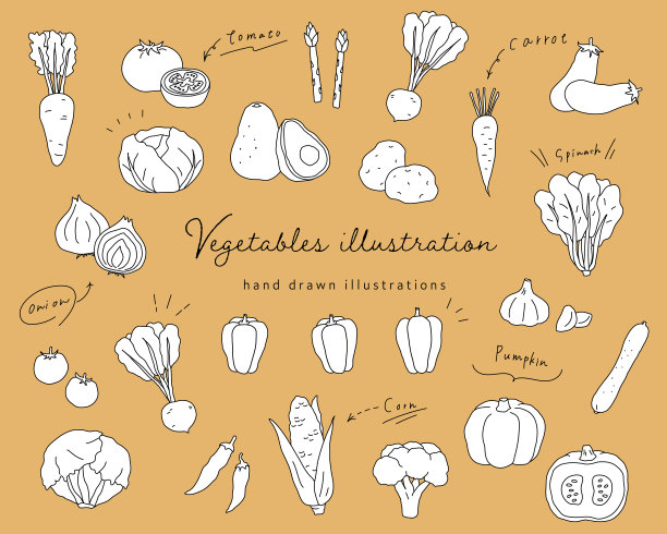 一套手绘蔬菜插图图片下载
