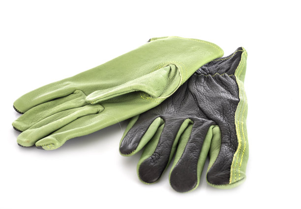 花园手套图片下载