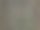 Sugarcan种植业。图片下载