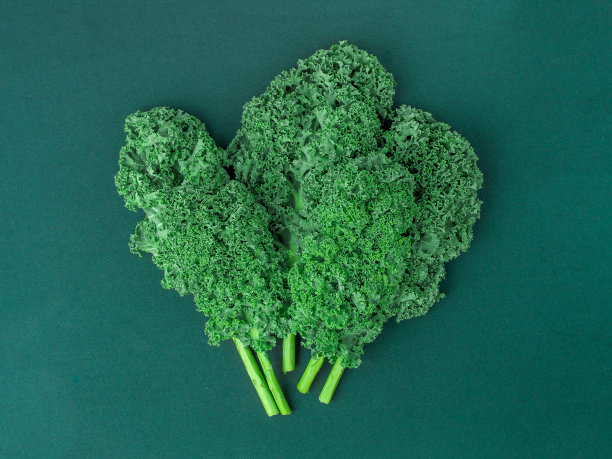 羽衣甘蓝图案以绿色为背景，俯视图，平铺图片下载