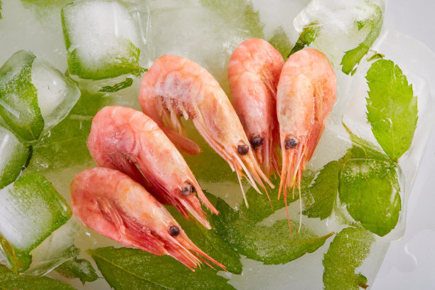 虾在冰上图片下载
