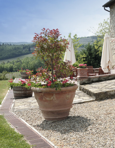 度假别墅庭院。图片下载