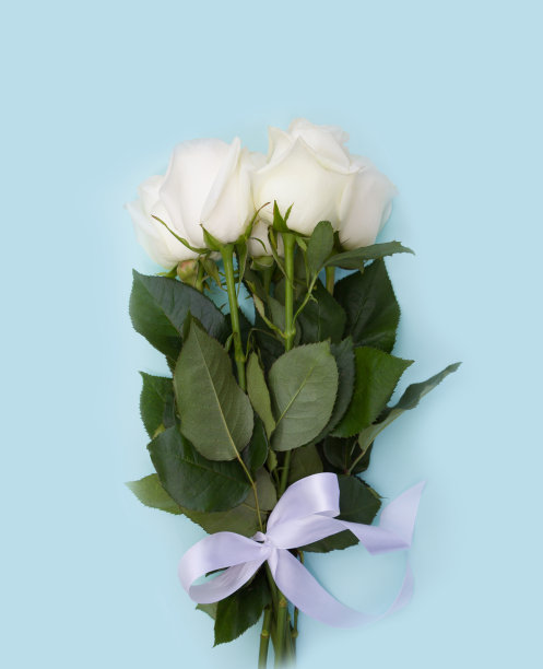 蓝底白玫瑰花束，白丝带。模板，婚礼的概念，圣瓦伦丁节，母亲节，生日，妇女节，3月8日贺卡图片下载
