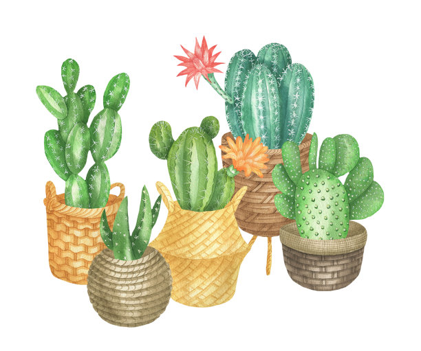 说明cacti.jpg素材图片