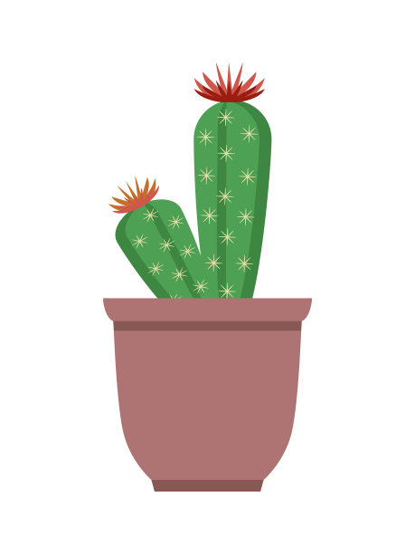 顶部矢量图上的仙人掌和花图片下载