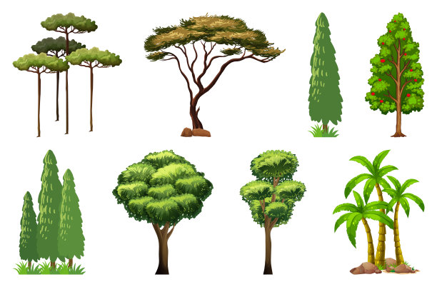 各种植物和树木图片下载