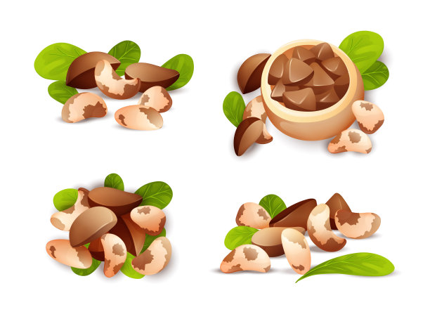 巴西坚果组合。采用螺母,食物。图片下载