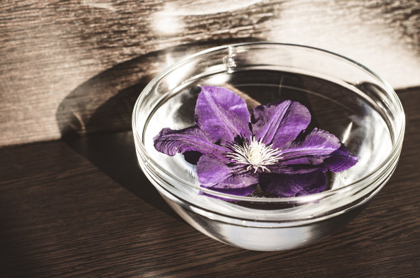 一个装有水的透明碗，放在棕色的木桌上。一朵盛着水的大碗里的花。照片在深褐色处理。图片下载