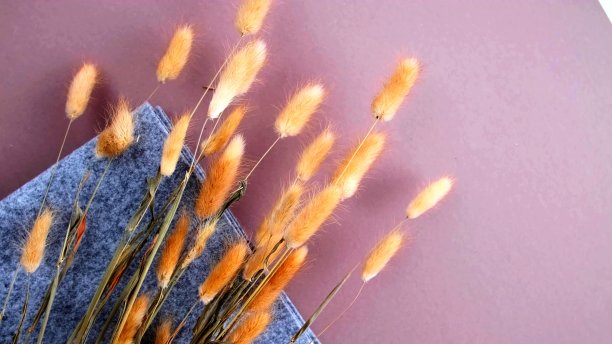 干花放在原始背景上图片下载