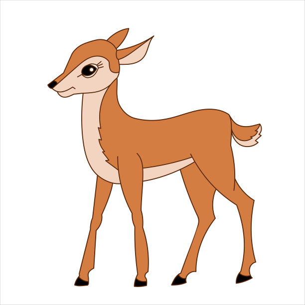 可爱的小鹿孤立在白色图片下载