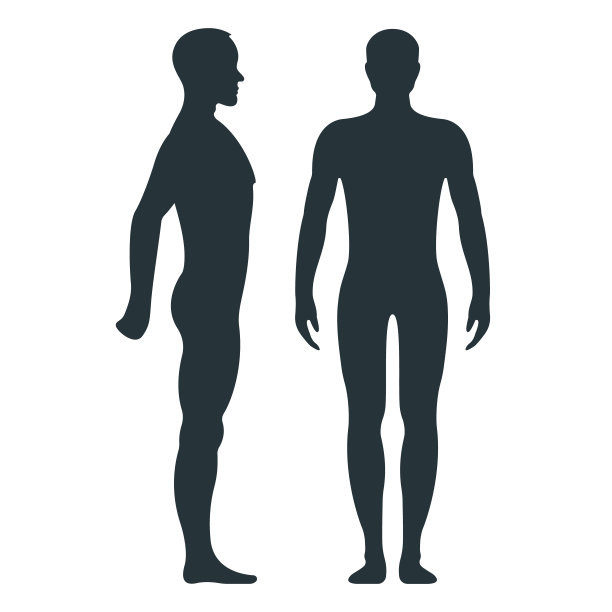 男性解剖人的性格，人的人偶正面和侧面的身体剪影，孤立在白色，平面矢量插图。图片下载