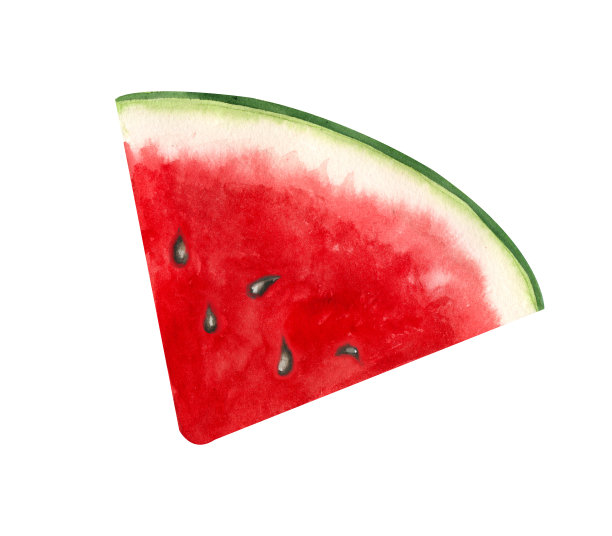 水彩西瓜切片。手绘的成熟的夏季热带水果孤立在白色的背景图片下载