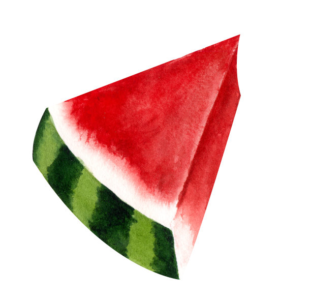 水彩西瓜切片。手绘的成熟的夏季热带水果孤立在白色的背景图片下载