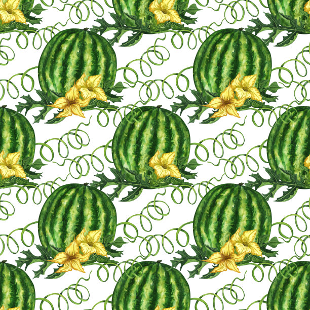 夏季无缝背景的成熟西瓜。全西瓜和黄花水彩无缝图案图片下载