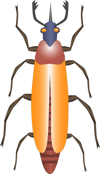 可怕的虫子有很多爪子图片下载