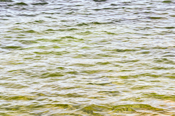 水波荡漾，照片为背景图片下载