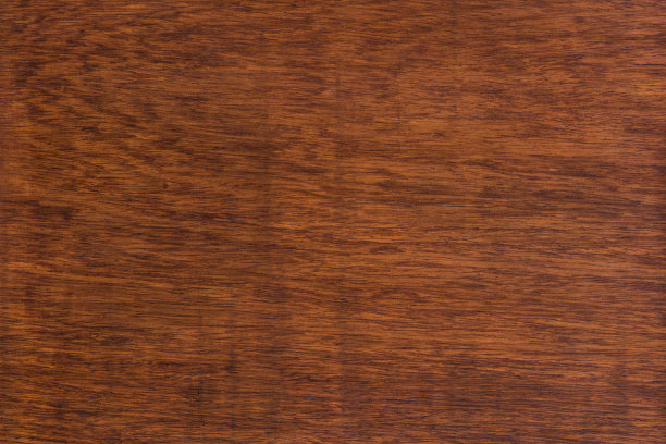 大红豆木的背景和纹理图片下载