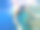 在红海埃及的浅水中与珊瑚鱼一起浮潜图片下载
