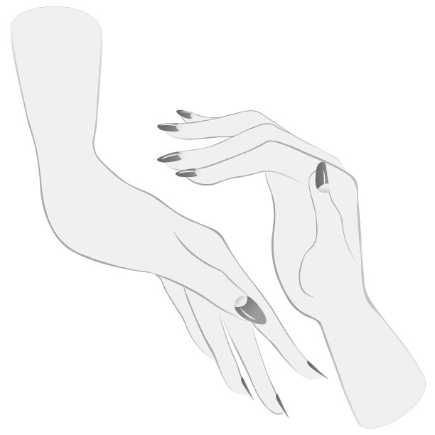 美丽的女人双手优雅，涂指甲油修指甲。黑色和白色。矢量图图片下载