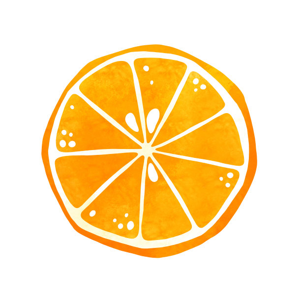 水彩橙色水果切片clipart。一半柑橘剪辑艺术，手绘股票插图。图片下载