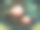 这张特写照片是一个绿松石盘子的碎片，上面有一个粉红色的心形甜点和一个装在饼干屑里的圆球。聚焦在中心。模糊的背景图片下载