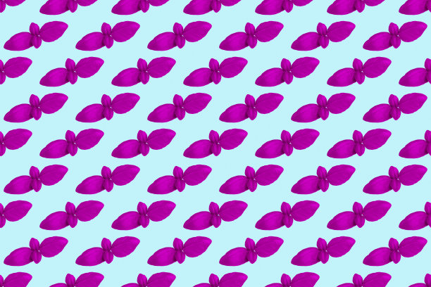 新鲜的粉红色罗勒叶无缝趋势模式孤立在蓝色背景图片下载