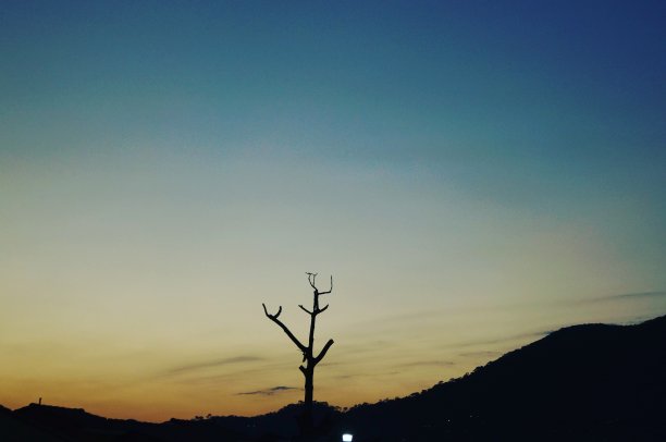 高速公路景观图片下载