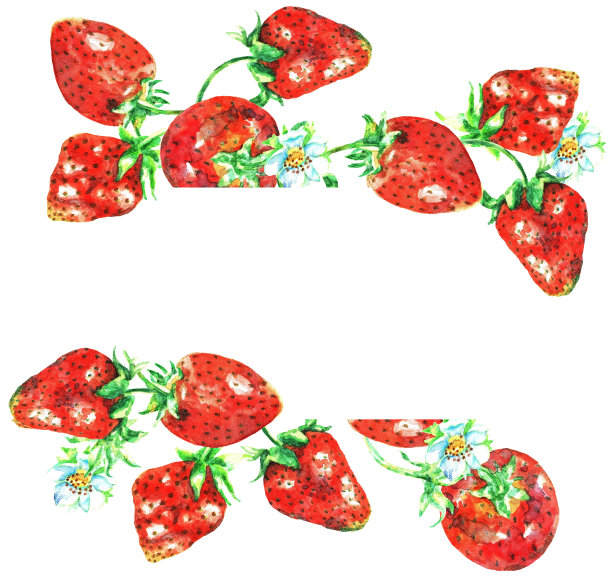 草莓。框架。水彩图片下载