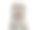 白色背景上的苏格兰折叠猫。图片下载