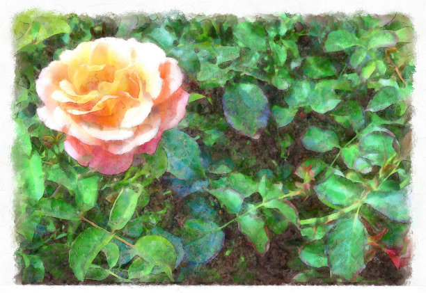 数码插画:水彩画风格的花朵特写图片下载