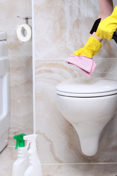 打扫浴室。消毒厕所。无法分辨的照片。空间的拷贝。图片下载