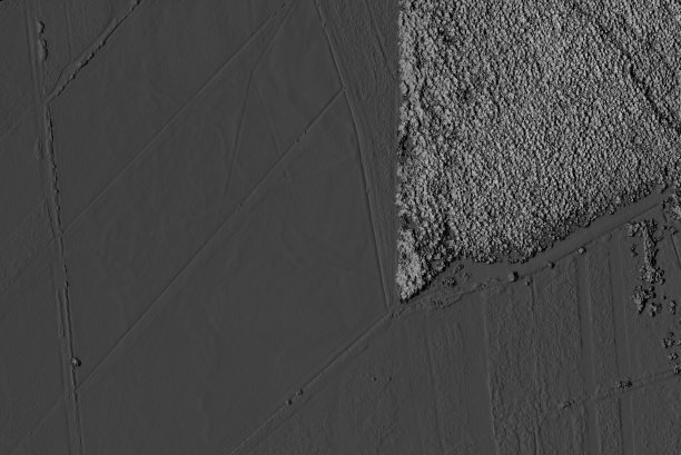 森林区域的数字高程模型图片下载