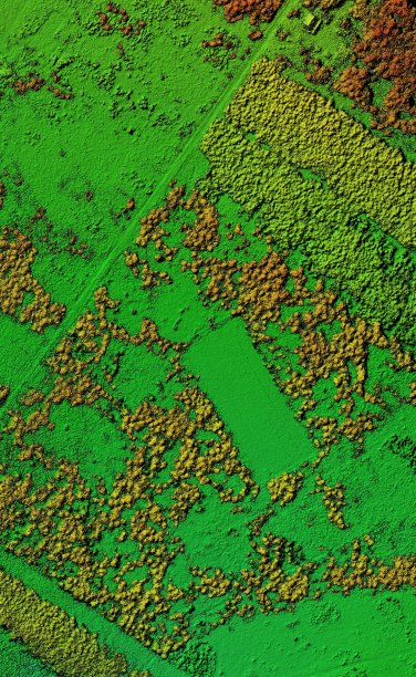 森林区域的数字高程模型图片下载