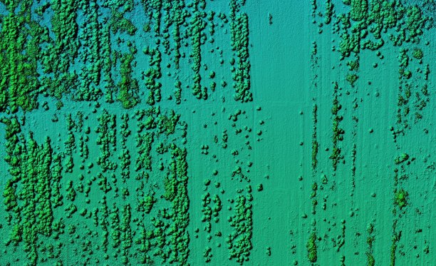 森林区域的数字高程模型图片下载