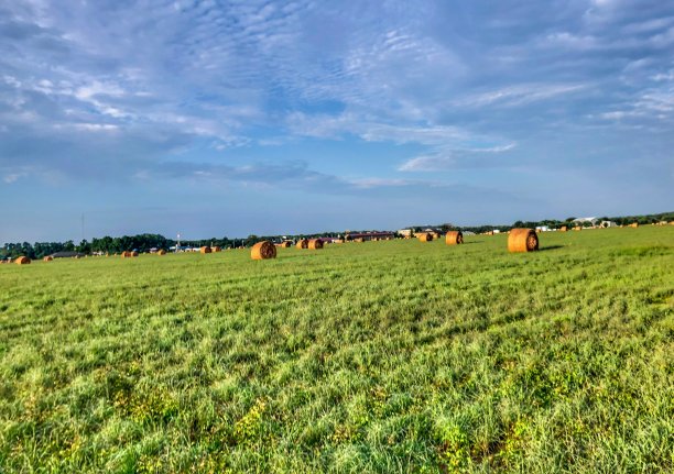 阿肯色州农村农场的干草捆图片下载