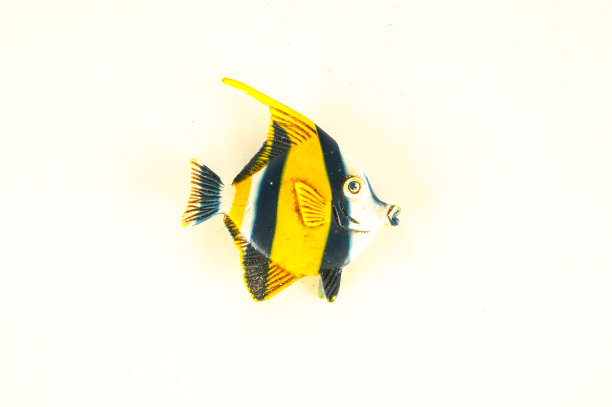 鱼塑料动物的特写图片下载