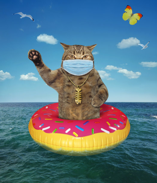 戴面具的猫漂浮在甜甜圈2上图片下载