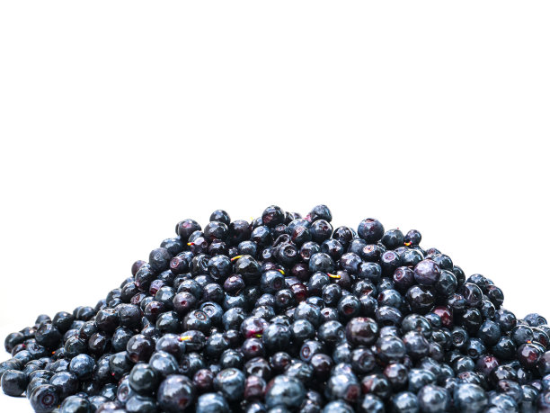 白色背景上的森林蓝莓果实。图片下载